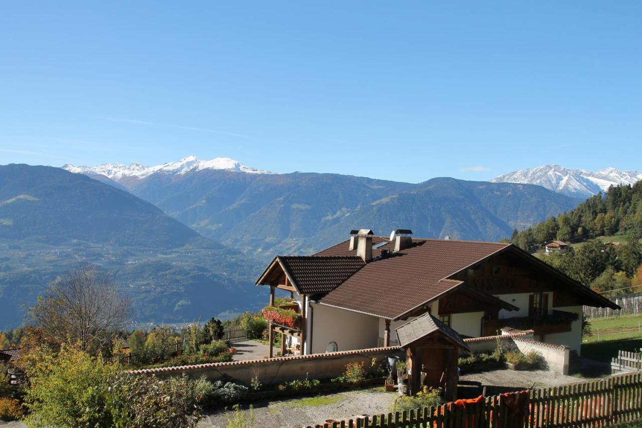 Eichernhof Apartment Marillenbluete Verano Exterior foto